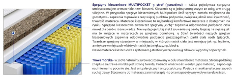 Materac Praga Trawa Multipocket 100x230 cm