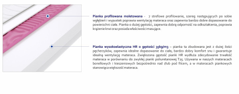 Materac Lipsk Molet 65x150 cm