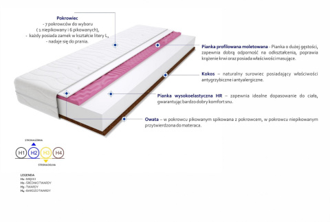 Materac Montana Molet Max Plus 100x200 cm