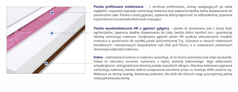 Materac Montana Molet Max Plus 100x200 cm