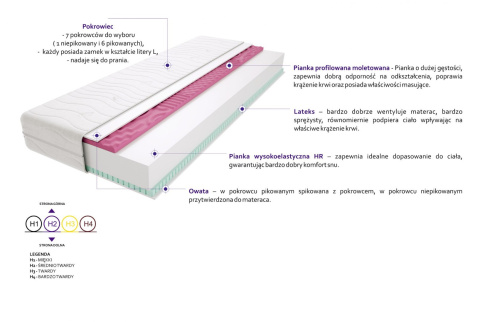 Materac Atena Molet Max Plus 100x215 cm