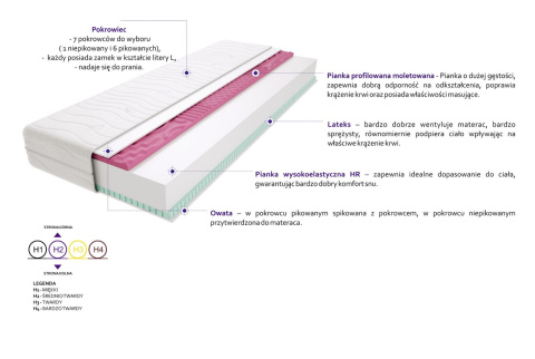 Materac Atena Molet Max Plus 75x185 cm Materac Atena Molet Max Plus 75x185 cm