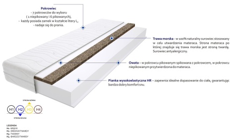 Materac Montana Trawa Max Plus 60x190 cm